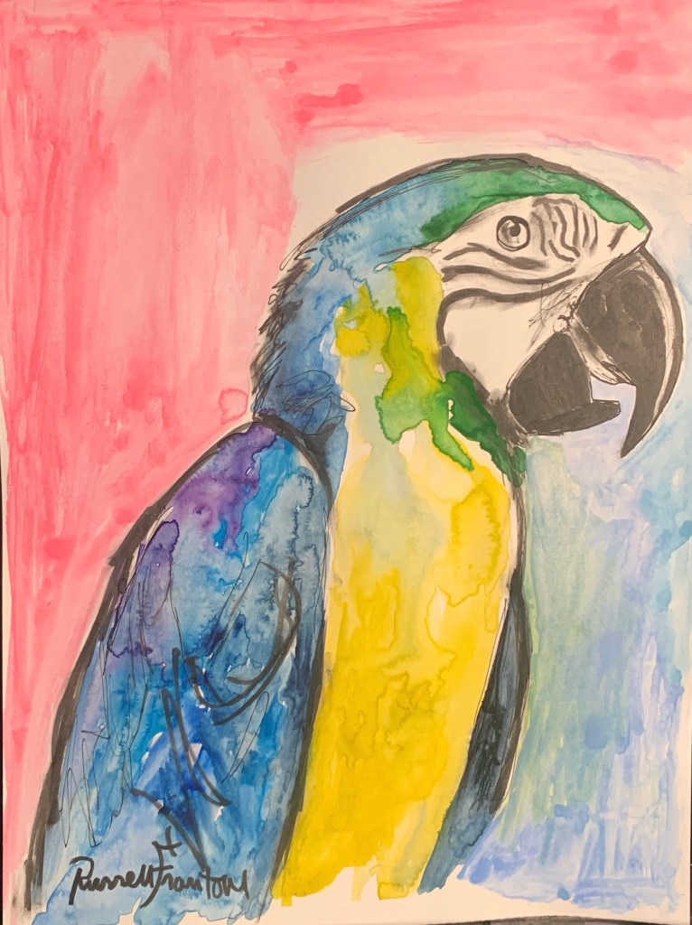 Untitled macaw, sold, watercolor painting on paper by Russell Frantom 2019 