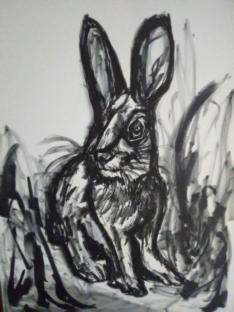 Acid rabbit sketch by Russell frantom 2019 black and white